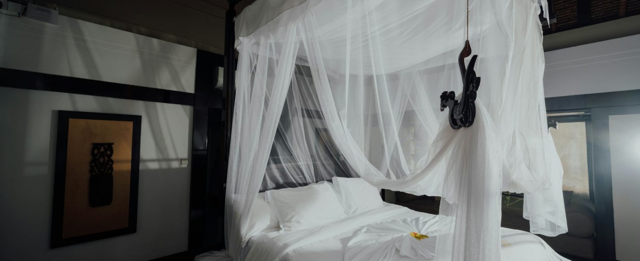 Une moustiquaire pour lit double