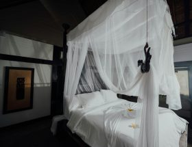 Une moustiquaire pour lit double